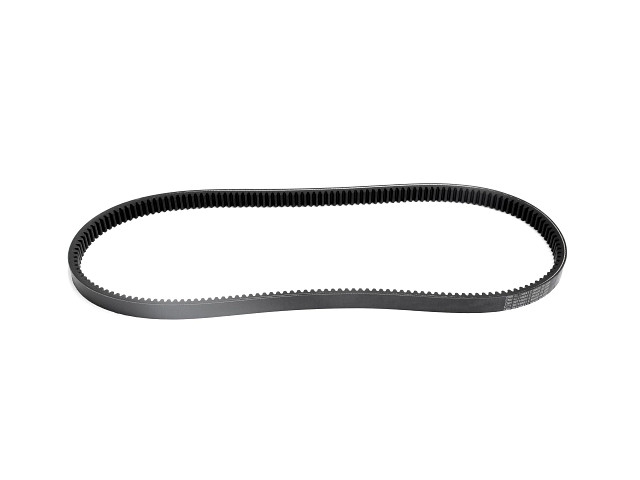 301146A1 V-BELT