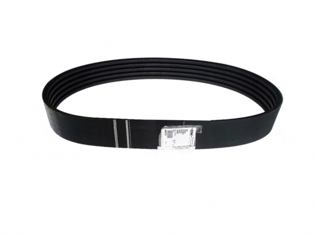 84072772 CEINTURE