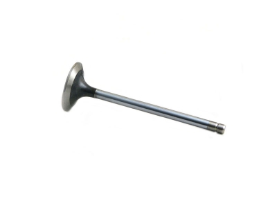 R97493 Exhaust valve 0.030